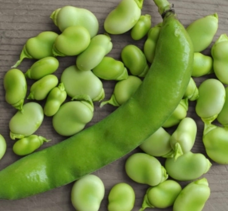 Fava com casca