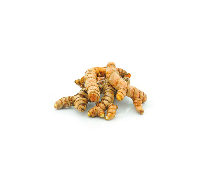 Curcuma